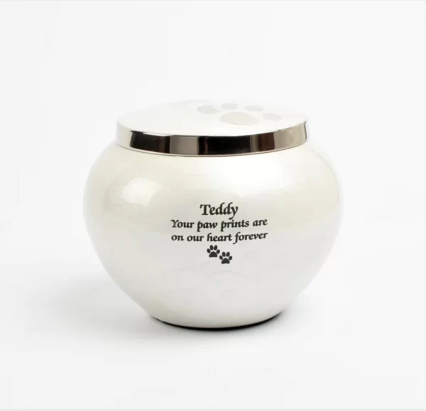 Odyssey Pawprint Urn - Personalisation Available - Image 2