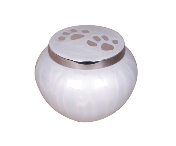 Odyssey Pawprint Urn - Personalisation Available - Image 3