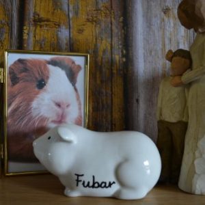 Guinea Pig Urn - Available in 5 Colours