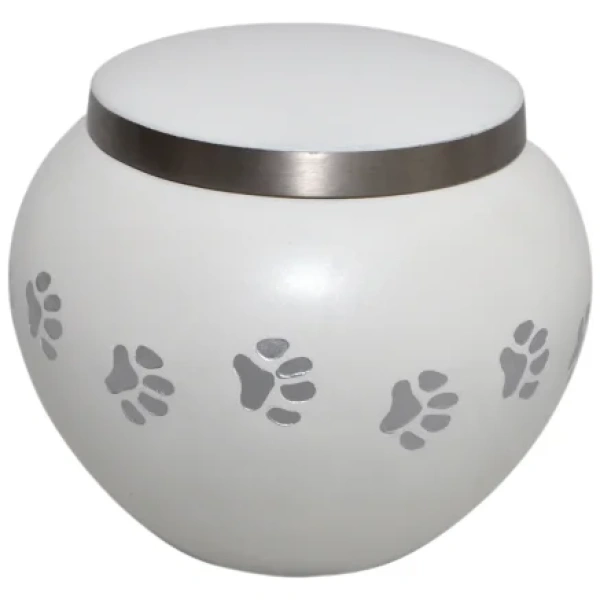 Odyssey - Paw Prints Around Urn