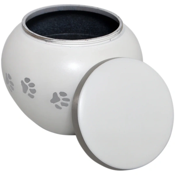 Odyssey - Paw Prints Around Urn - Image 2