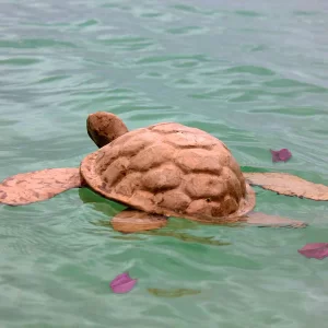 Turtle Biodegradable Water Urn - Large