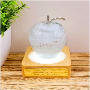 Ashes Creamation Memorial Glass Apple Sympathy Gift Remembrance Gift Pet Loss Keepsake.